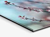 Acrylic Glass Prints